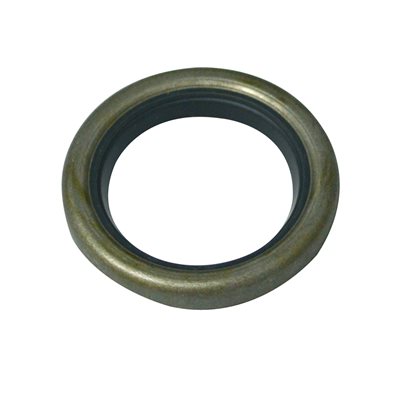 OIL SEAL B&S #299819S